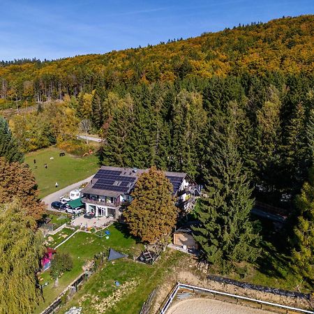 Fuchswiese Thurmansbang Exteriér fotografie
